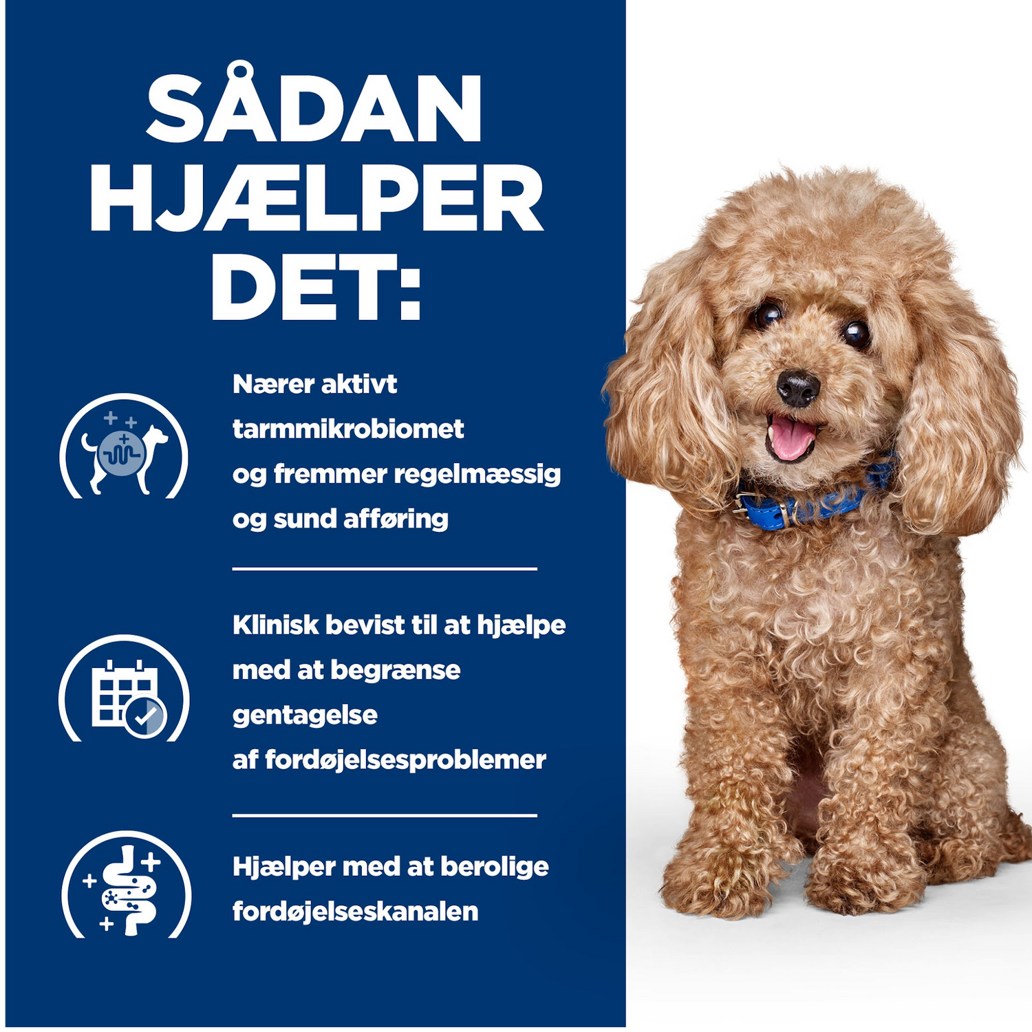 Hill’s PRESCRIPTION DIET Gastrointestinal Biome Mini tørfoder til hunde med kylling