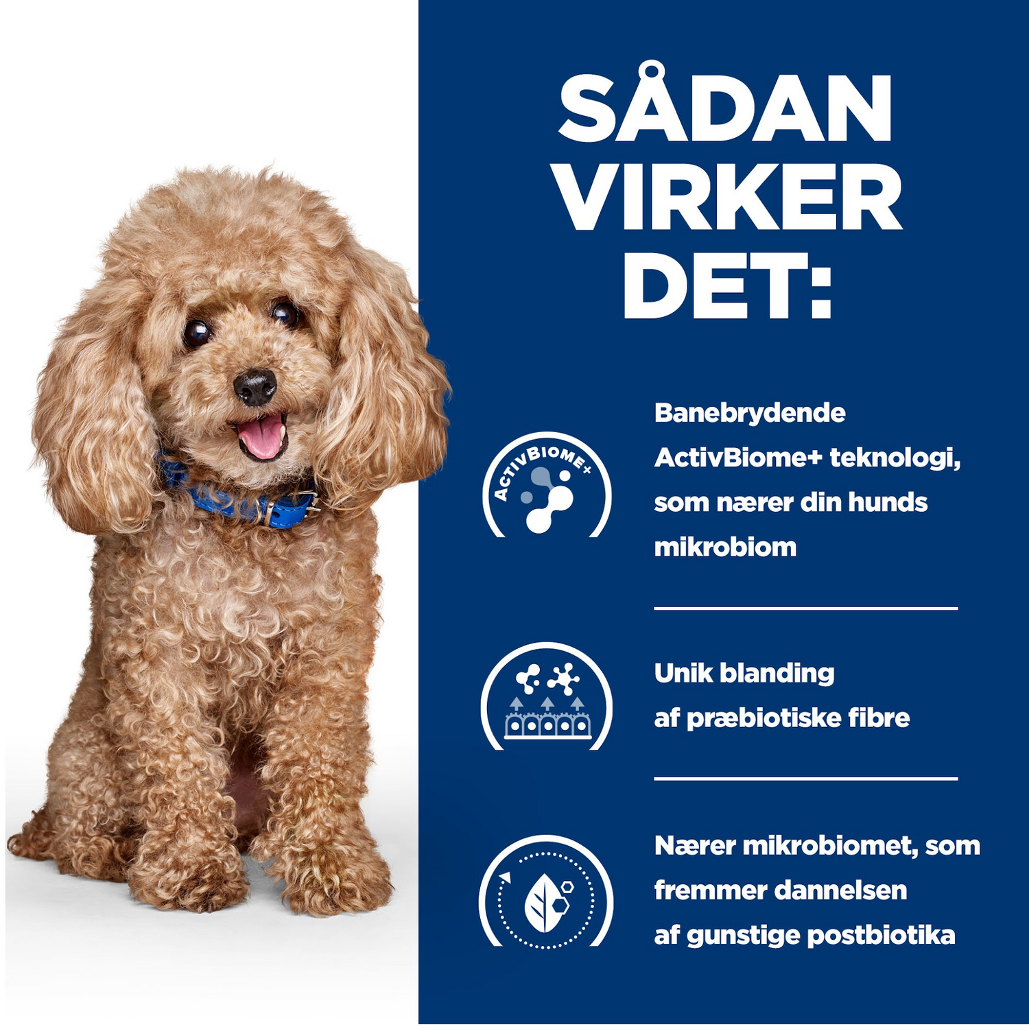 Hill’s PRESCRIPTION DIET Gastrointestinal Biome Mini tørfoder til hunde med kylling