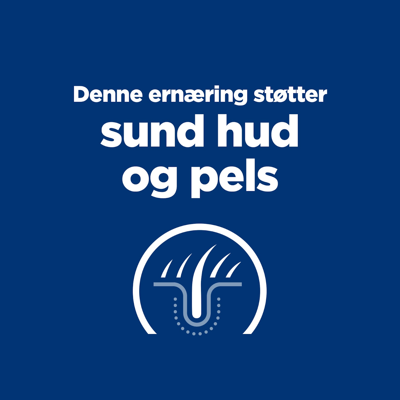 Hill’s Prescription Diet z/d Food Sensitivities vådfoder til hunde 370 g