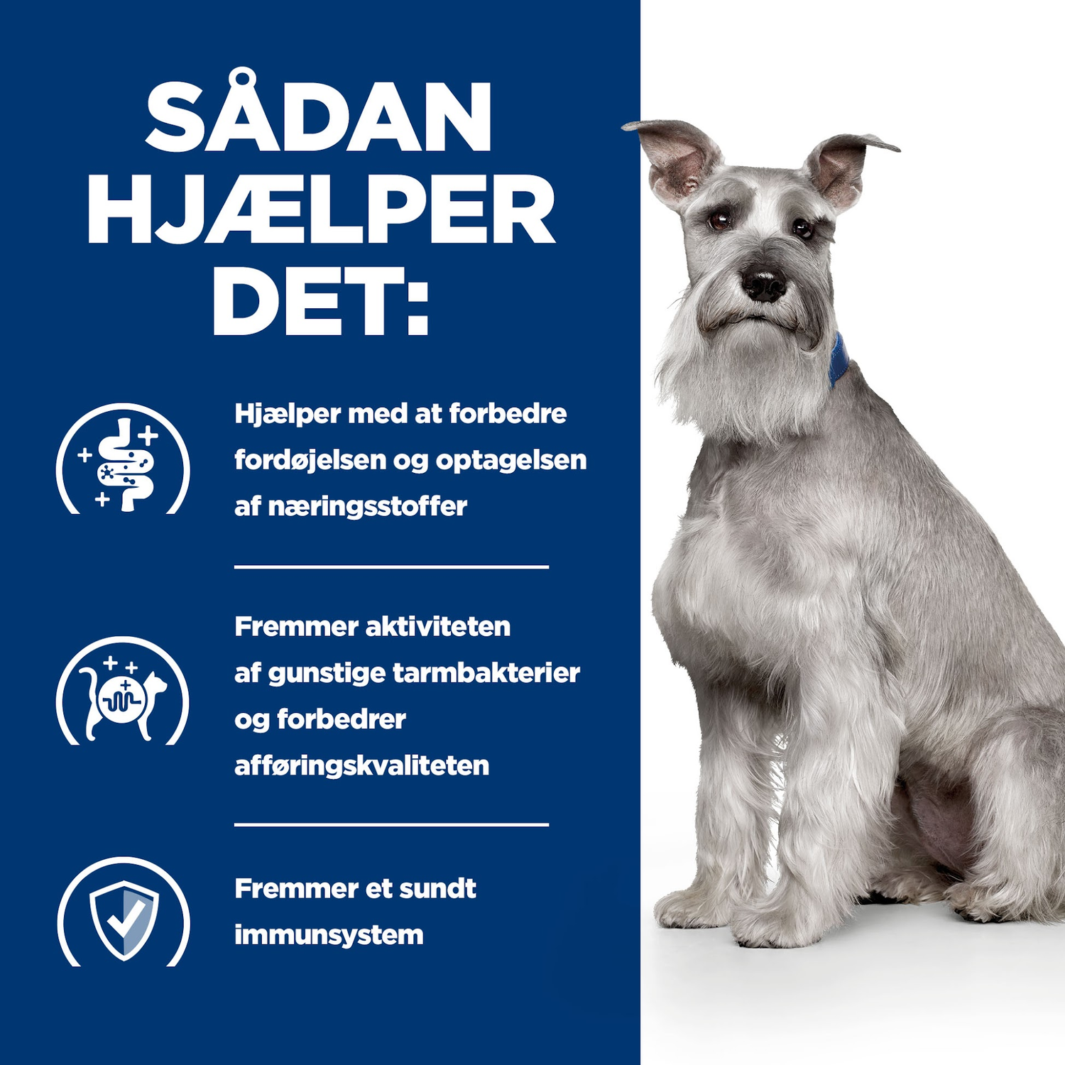 Hill's PRESCRIPTION DIET i/d Low Fat Mini Digestive Care vådfoder til hunde med kylling & tilsatte grøntsager 156g dåser