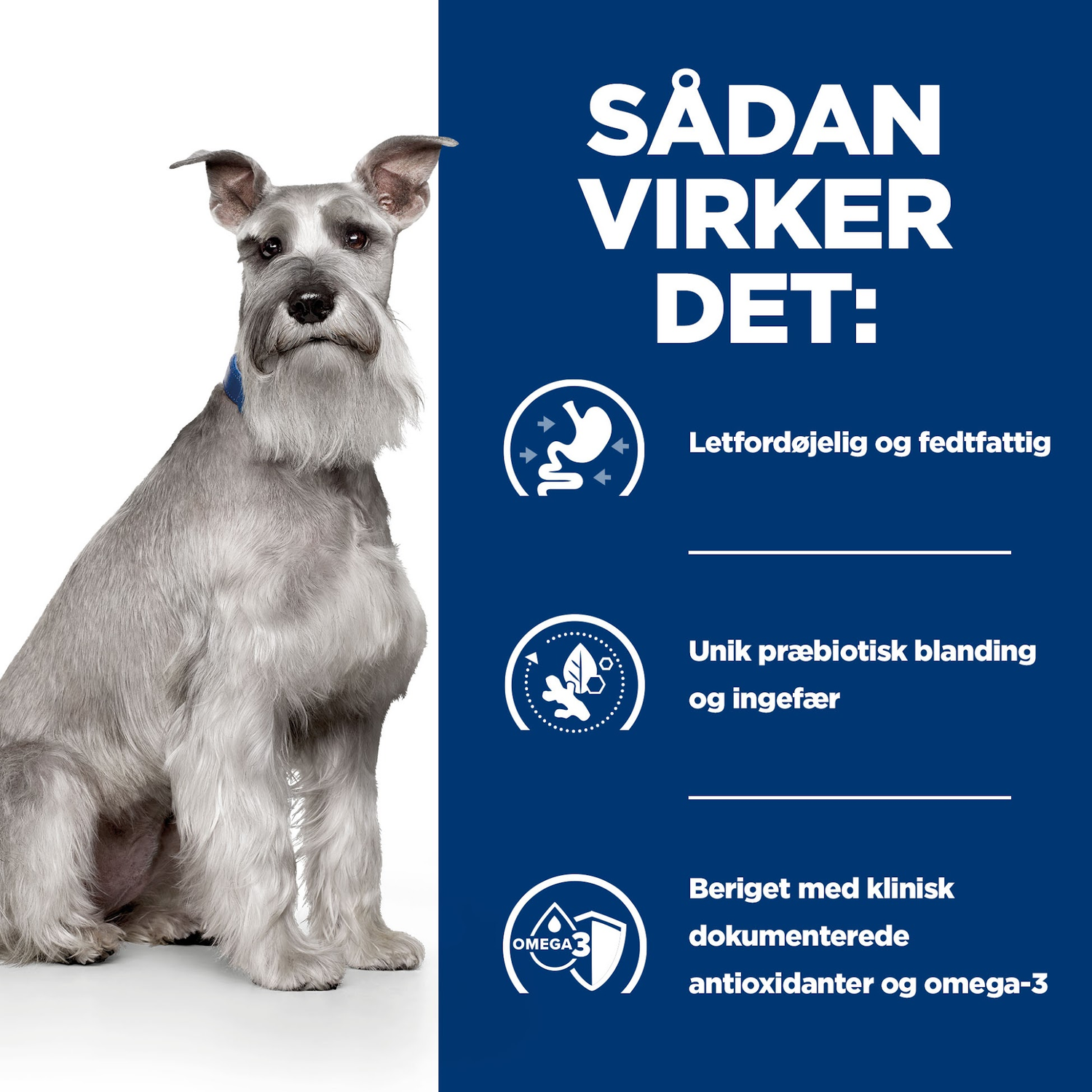 Hill's PRESCRIPTION DIET i/d Low Fat Mini Digestive Care vådfoder til hunde med kylling & tilsatte grøntsager 156g dåser