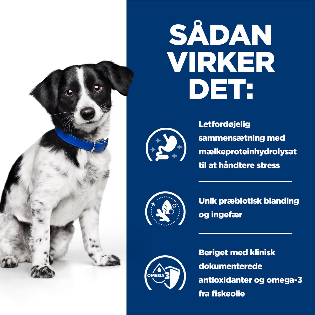 Hill's PRESCRIPTION DIET i/d Stress Digestive Care Stew vådfoder med kylling & Vegetables 156g pr dåse