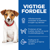 Hill's Science Plan hvalpefoder - Tørfoder til små hvalpe mellem 4mdr og 1 år med lam & ris