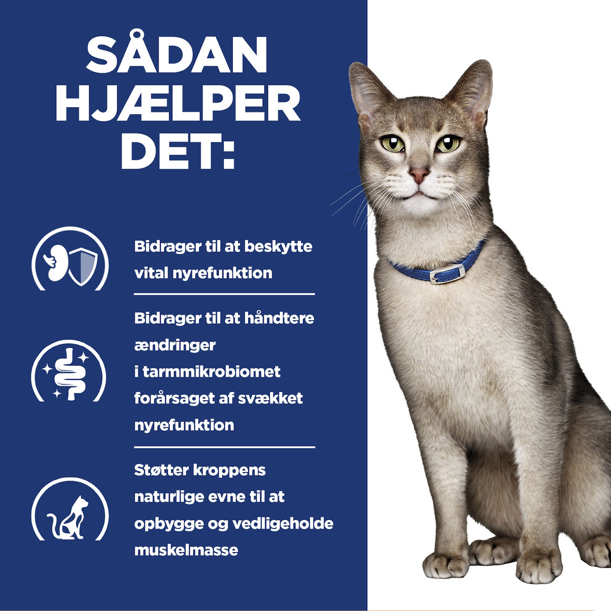 Hill's PRESCRIPTION DIET k/d Kidney Care vådfoder til katte - portionsposer 12x85g