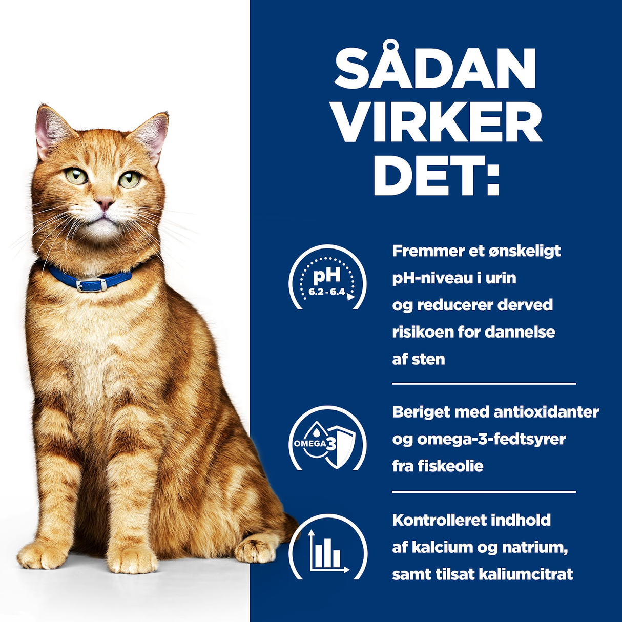 Hill's Prescription Diet c/d Multicare Urinary Care vådfoder til katte - Kylling eller Laks 12x85g