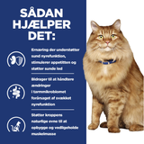 Hill's PRESCRIPTION DIET k/d + Mobility vådfoder til katte med kylling - 12x85g portionsposer