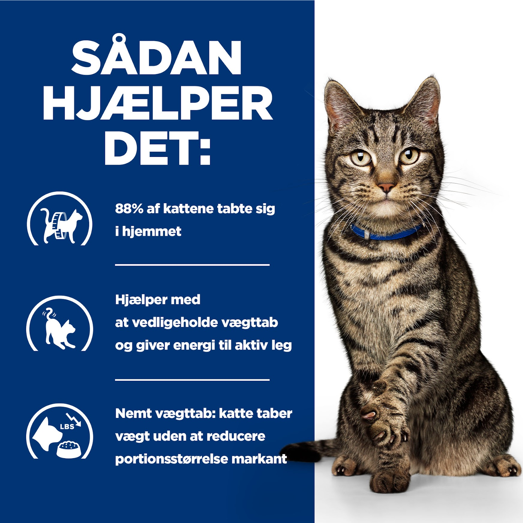 Hill’s PRESCRIPTION DIET Metabolic vådfoder til katte - vægttabsfoder med kylling eller havfisk