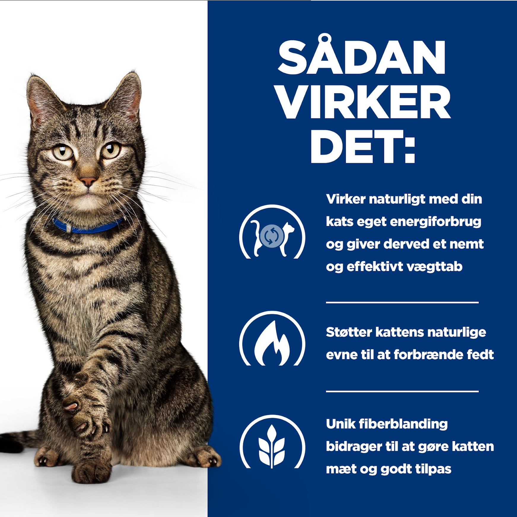 Hill’s PRESCRIPTION DIET Metabolic vådfoder til katte - vægttabsfoder med kylling eller havfisk