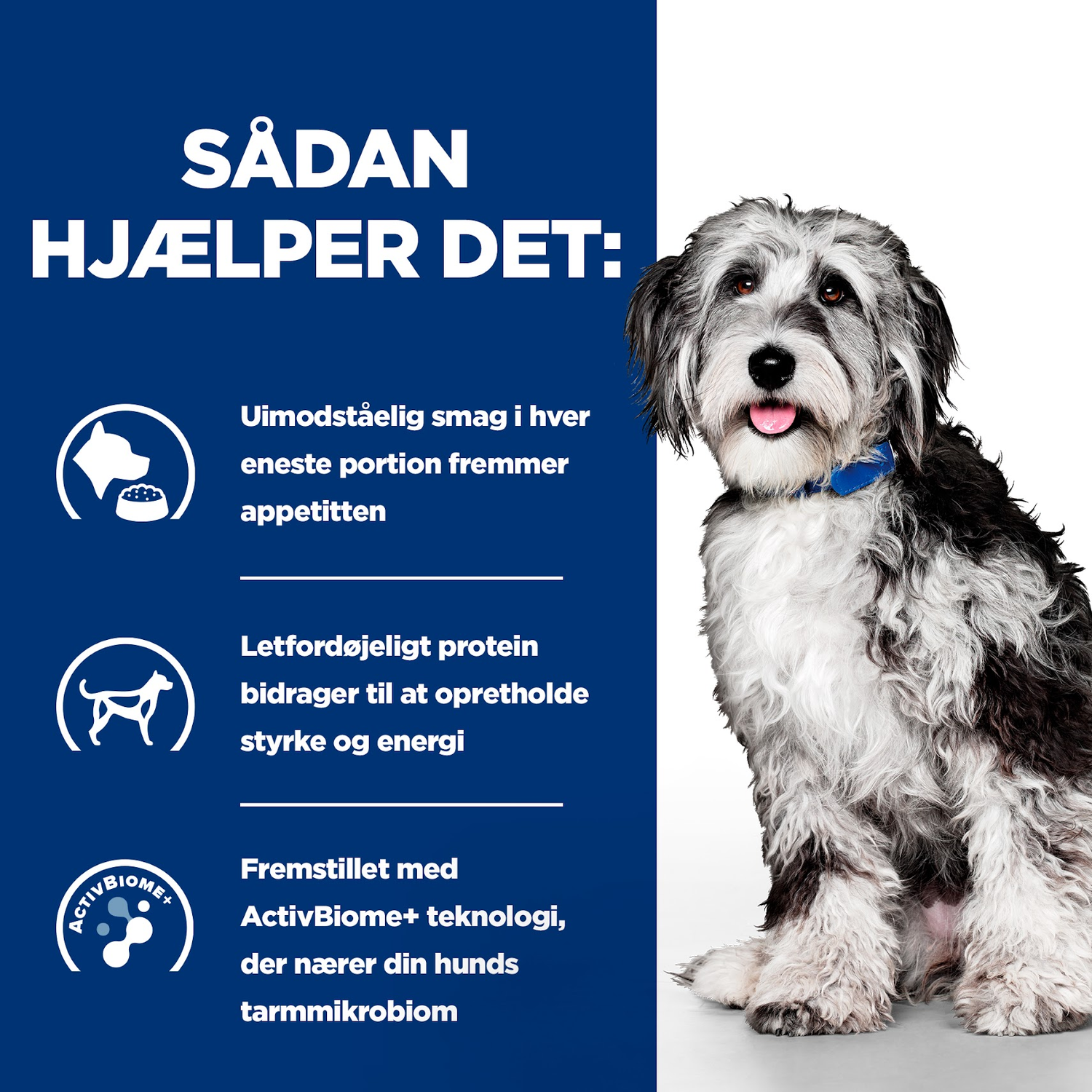 Hill’s Prescription Diet On-Care Stew vådfoder til hunde med kylling & grøntsager