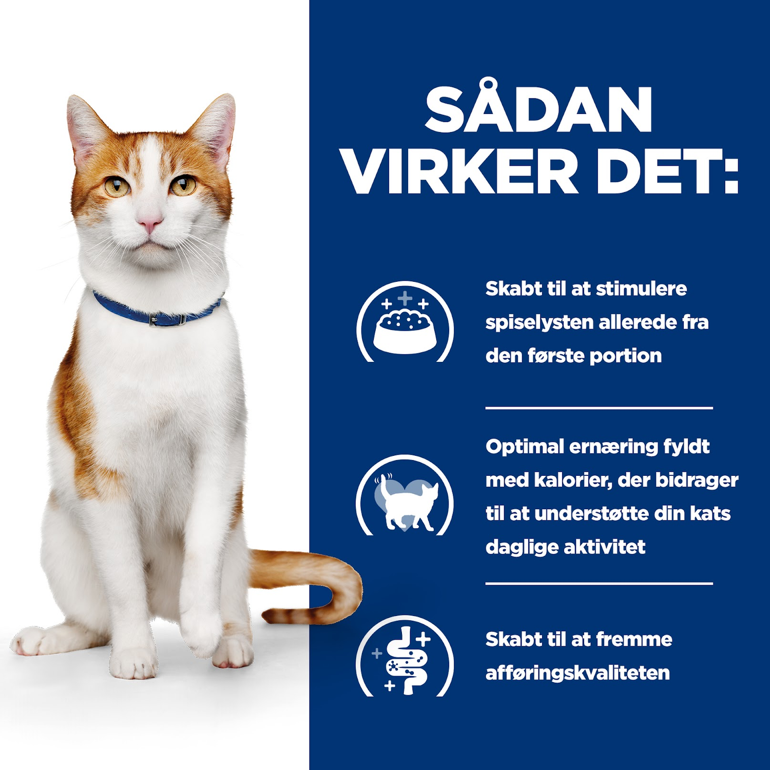 Hill's Prescription Diet On-Care stew til katte med kylling & grøntsager