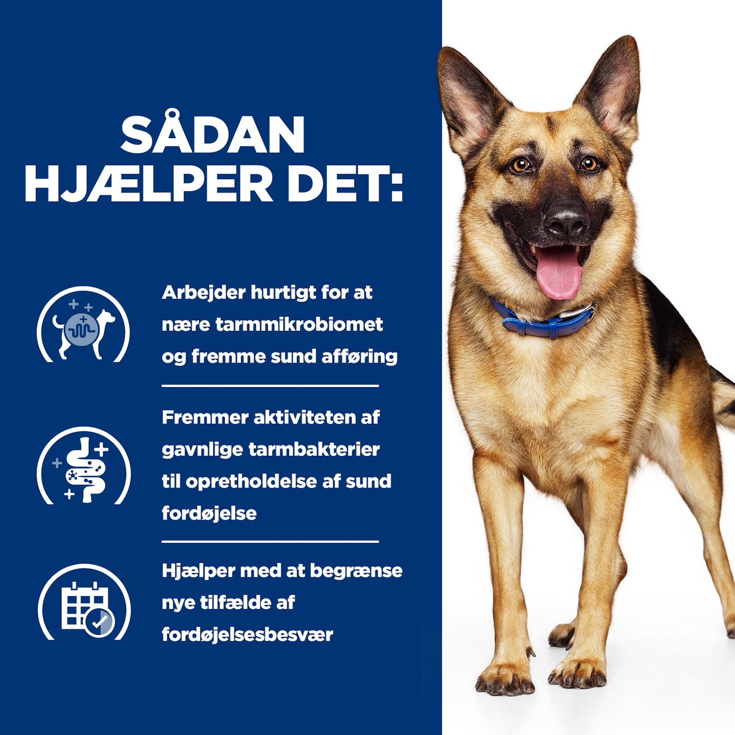 Hill's PRESCRIPTION DIET - Gastrointestinal Biome til hunde, Stew med kylling og gulerødder