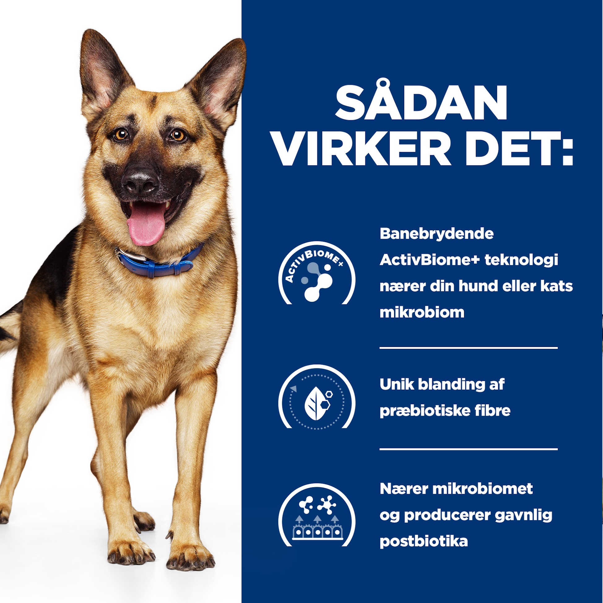 Hill's PRESCRIPTION DIET - Gastrointestinal Biome til hunde, Stew med kylling og gulerødder