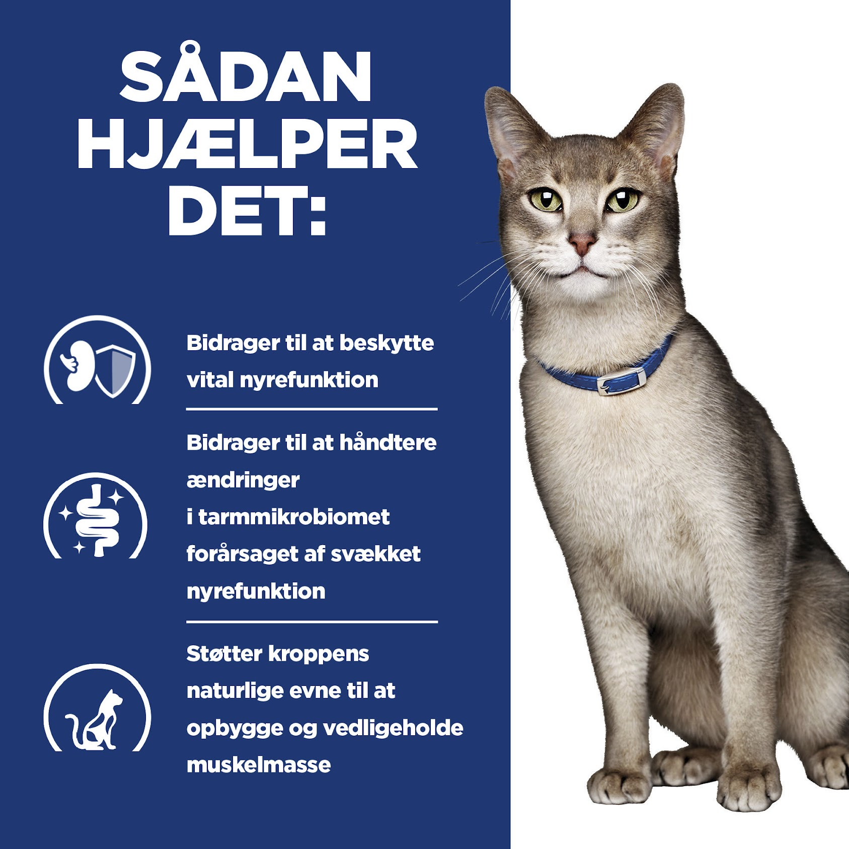 Hill's Prescription Diet k/d Stew til katte med tun og tilsatte grøntsager