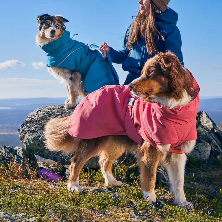 Hurtta Expedition Parka II - Vinterdækken til Hunde i NYE flotte farver