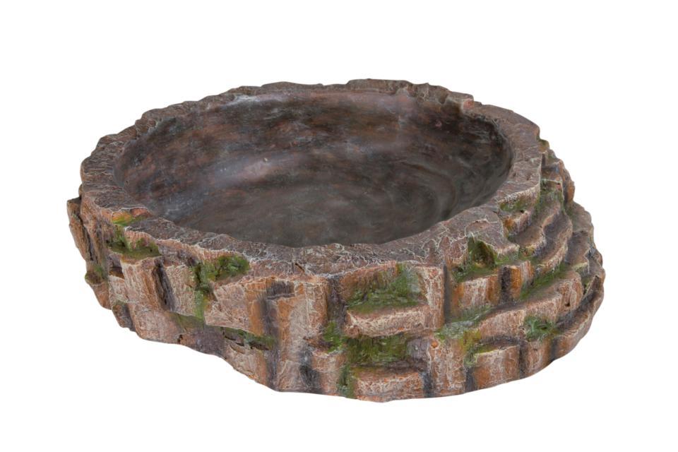 Krybdyrs foder- og vandskål