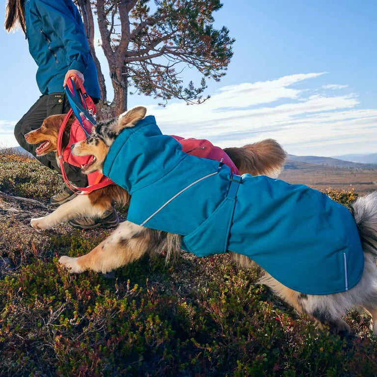 Hurtta Expedition Parka II - Vinterdækken til Hunde i NYE flotte farver