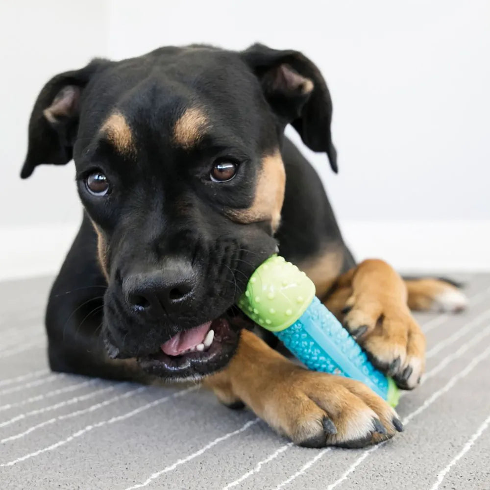 Kong - Corestrength Bone