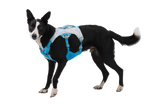 Swamp Cooler Harness fra Ruffwear – perfekt til aktive hunde