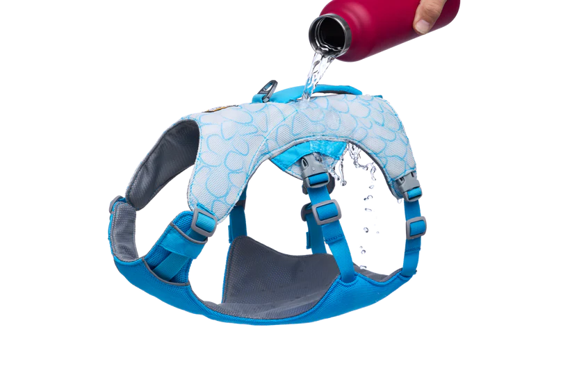 Swamp Cooler Harness fra Ruffwear – perfekt til aktive hunde