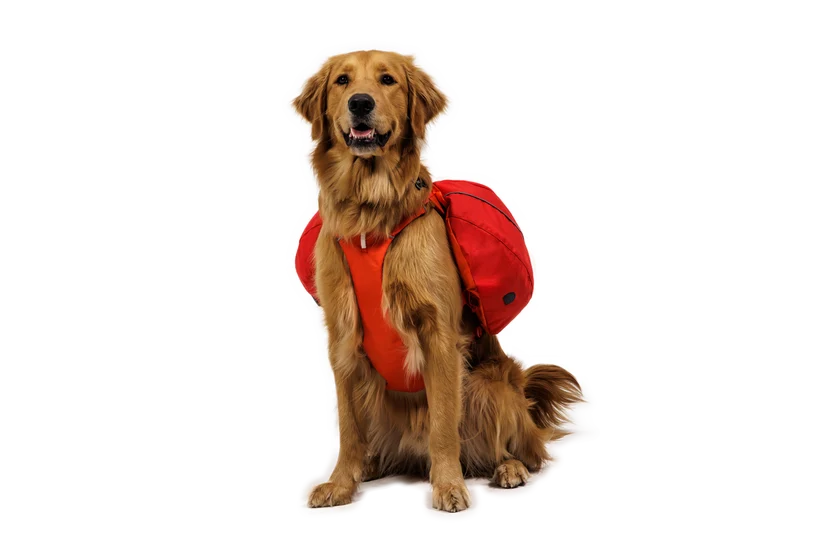 Palisades Pack fra Ruffwear – perfekt til aktive hunde