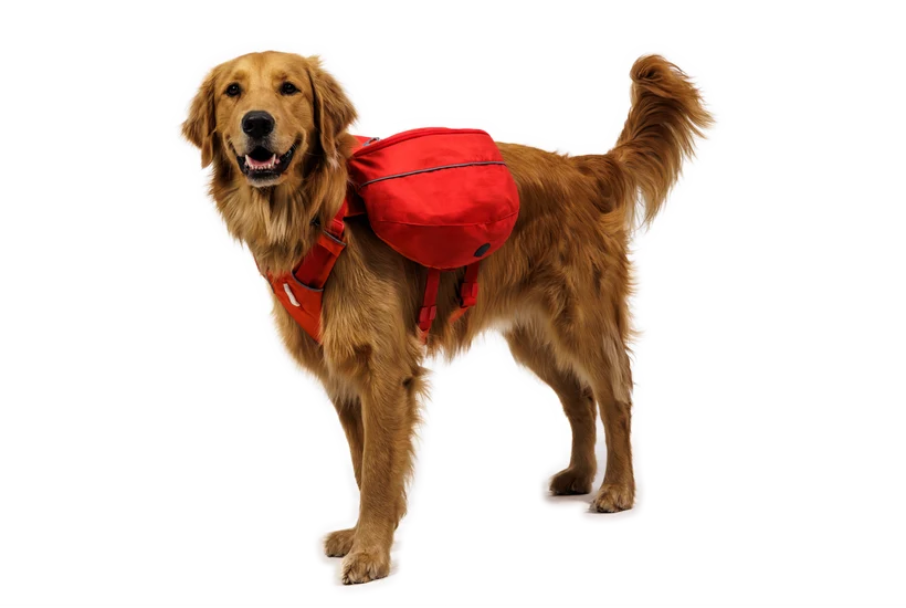 Palisades Pack fra Ruffwear – perfekt til aktive hunde
