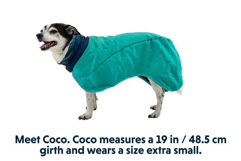 Dirtbag Dog Towel håndklæde til hunde - Slut med Våde Poter og Snavs i Bilen