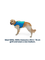 Float Coat Life Jacket fra Ruffwear – perfekt til aktive hunde