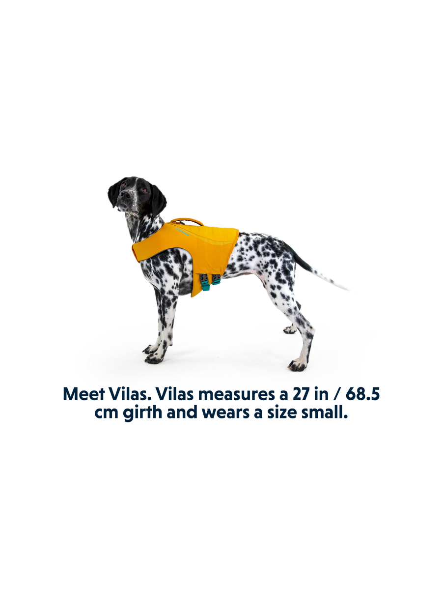 Float Coat Life Jacket fra Ruffwear – perfekt til aktive hunde