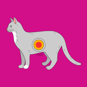 Fordøjelse, diarré & maveproblemer hos katte