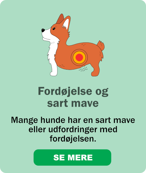 Mange hunde har en sart mave
eller udfordringer med fordøjelsen.
Se vores udvalg her.