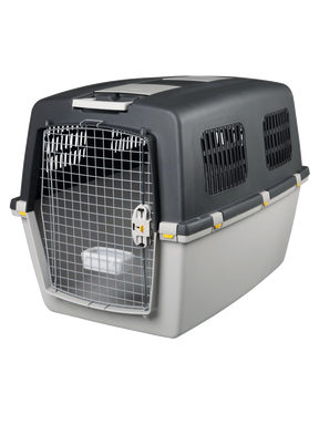 Gulliver Transportbox