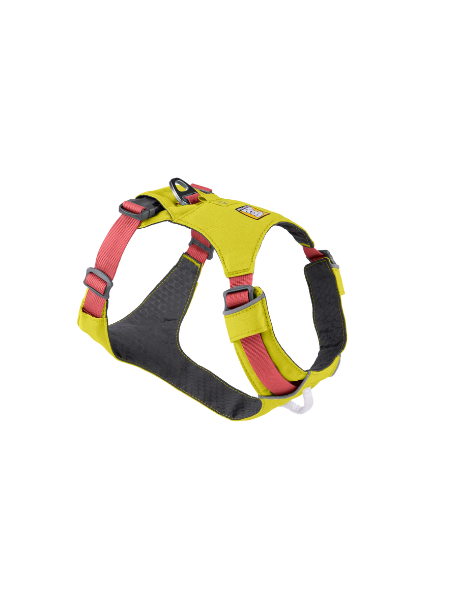 Hi & Light Harness fra Ruffwear – perfekt til aktive hunde