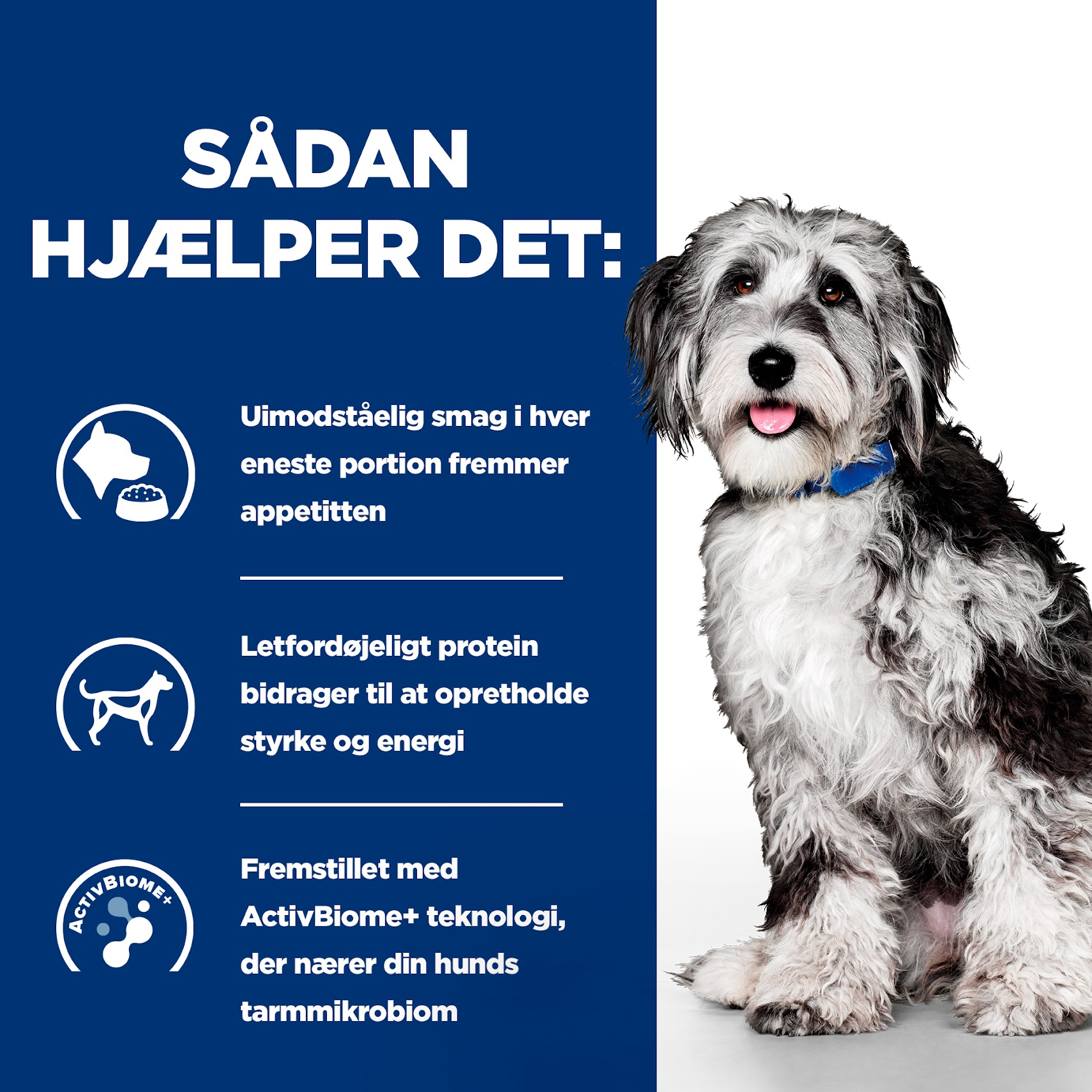 Hill’s Prescription Diet ON-Care Canine Chicken