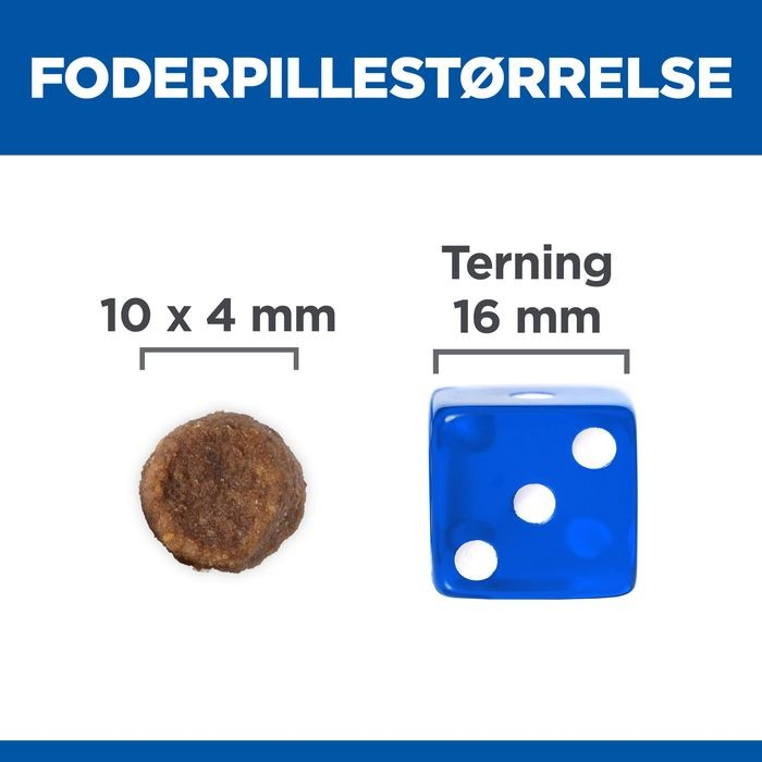 Et billede af Hill's Science Plan hvalpefoder - Tørfoder til mellemstore hvalpe på op til 1 år med kylling (Hills Science Plan) der spiller med en terning og en lineal ved siden af dem.