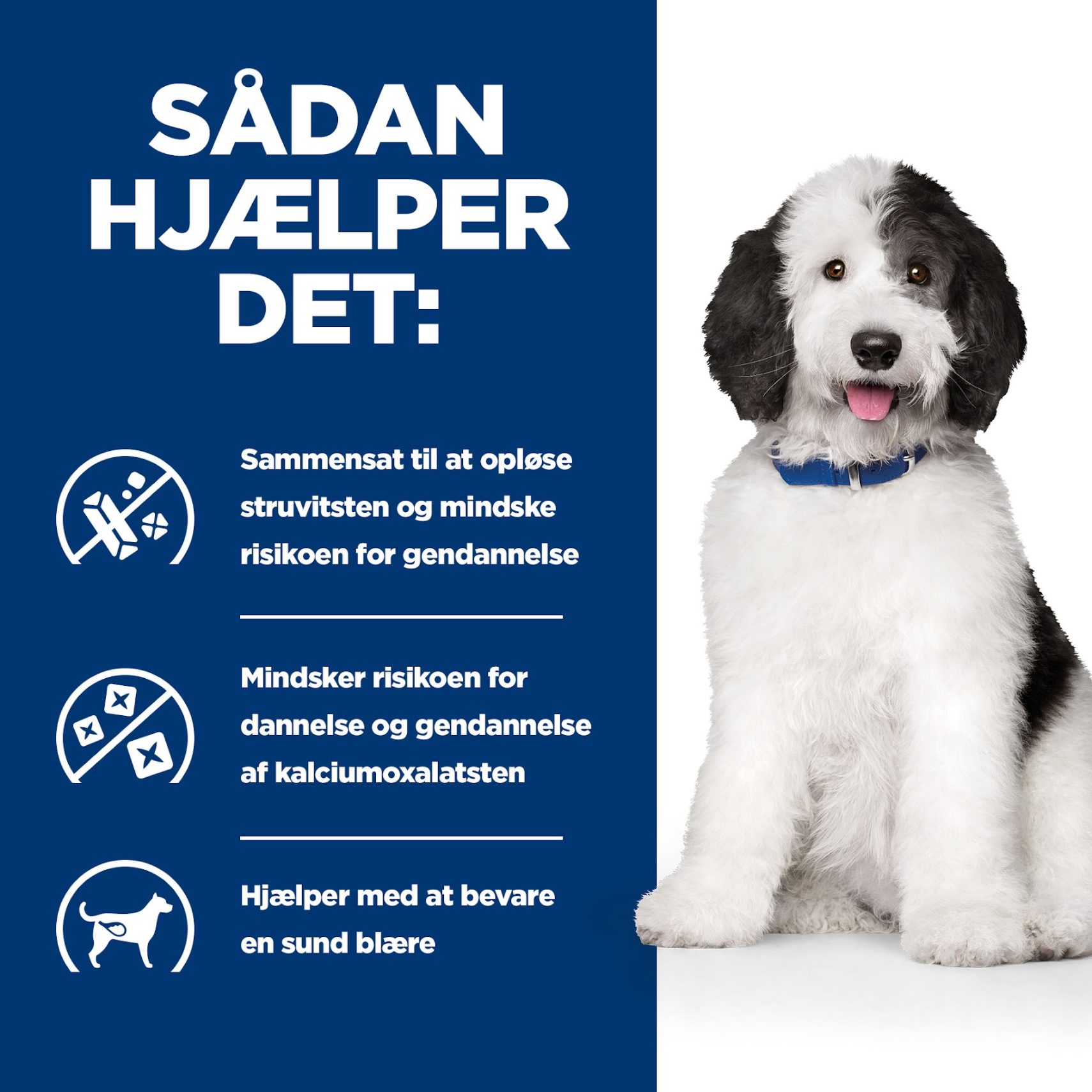Hill's PRESCRIPTION DIET c/d Multicare Urinary Care Stew dåsefoder til hunde med kylling og tilsatte grøntsager