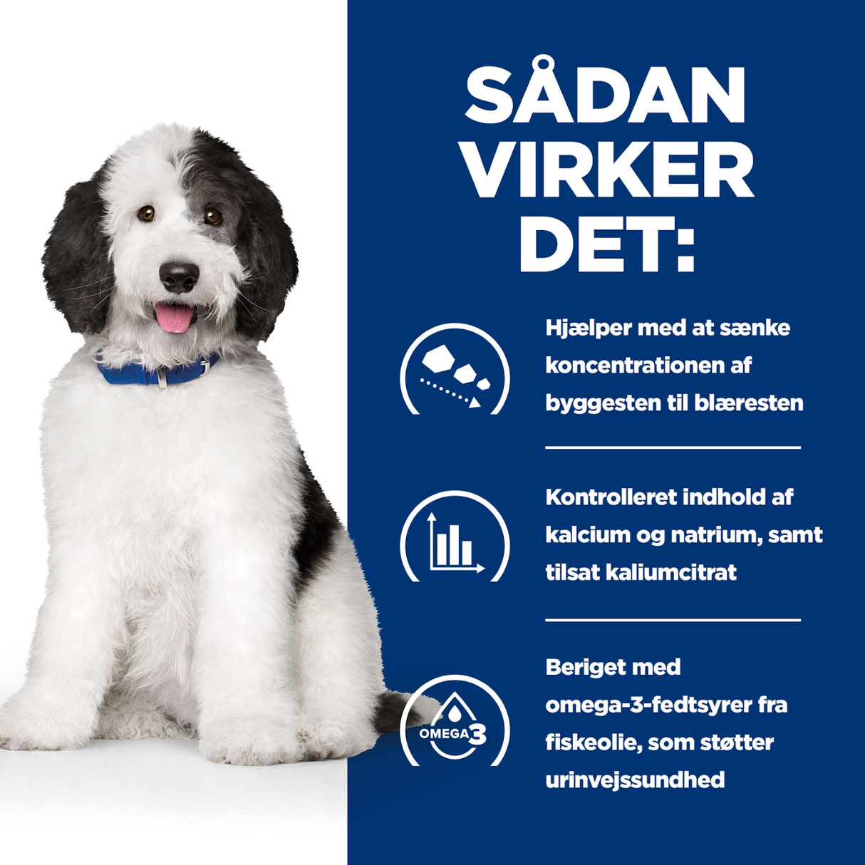 Hill's PRESCRIPTION DIET c/d Multicare Urinary Care Stew dåsefoder til hunde med kylling og tilsatte grøntsager