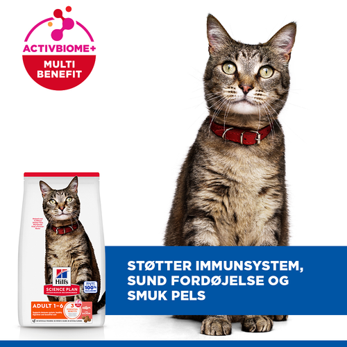 Hill's Science Plan Adult Kattefoder med Laks