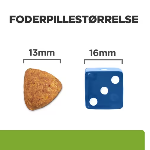 Et billede af en terning og et stykke papir, der viser Hill's PRESCRIPTION DIET Metabolic + Mobility Weight Management j/d tørfoder til hunde med kyllingaw og ledsundhed.