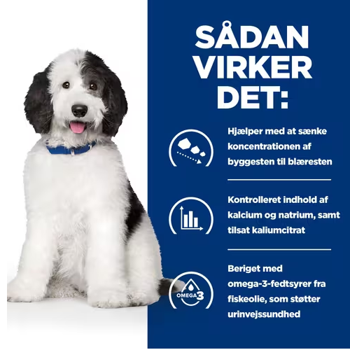 parti Verdensvindue Ærlighed Hill's PRESCRIPTION DIET c/d Multicare Urinary Care tørfoder til hunde – Os  med kæledyr.dk