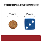 Et billede af en Hill's Prescription Diet i/d Digestive Care tørfoder til hunde med kylling cookie og en terning, der fremmer vigtigheden af fordøjelsessundhed.