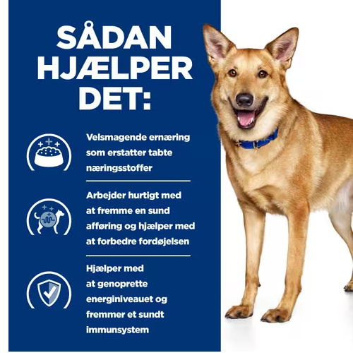 En hund står foran en annonce for Hill's Prescription Diet i/d Digestive Care tørfoder til hunde med kylling, der promoverer fordøjelsessundhed.