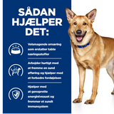 En hund står foran en annonce for Hill's Prescription Diet i/d Digestive Care tørfoder til hunde med kylling, der promoverer fordøjelsessundhed.