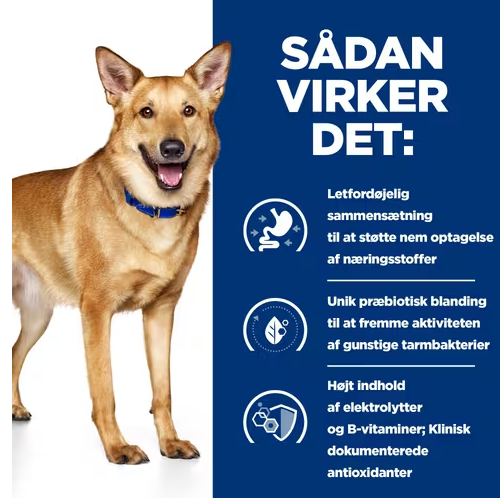 Opdag hvordan Hills Prescription Diet i/d Digestive Care tørfoder til hunde med kylling kan forbedre fordøjelsessundheden hos hunde.