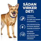 Opdag hvordan Hills Prescription Diet i/d Digestive Care tørfoder til hunde med kylling kan forbedre fordøjelsessundheden hos hunde.