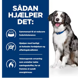 Hill's PRESCRIPTION DIET i/d Sensitive Digestive Care tørfoder til hunde med æg & ris