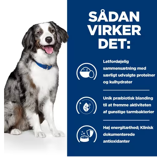 Hill's PRESCRIPTION DIET i/d Sensitive Digestive Care tørfoder til hunde med æg & ris