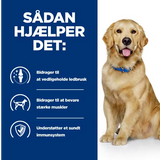 Hill's PRESCRIPTION DIET j/d Joint Care tørfoder til hunde med kylling