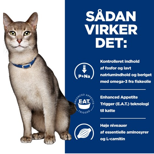 En kat iført halsbånd med ordene sadan vikker det ses. Halsbåndet indikerer, at katten har nyreproblemer og ville have gavn af Hills Prescription Diet k/d Kidney Care vådfoder til katte med kylling 24x156g dåse.