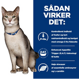 En kat iført halsbånd med ordene sadan vikker det ses. Halsbåndet indikerer, at katten har nyreproblemer og ville have gavn af Hills Prescription Diet k/d Kidney Care vådfoder til katte med kylling 24x156g dåse.