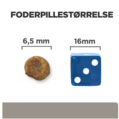 Et billede af en terning og en lineal med billedteksten med SEO søgeordene "Hill's PRESCRIPTION DIET l/d Liver Care" og "fordøjelse". Mærkenavn: Hills Prescription Diet.